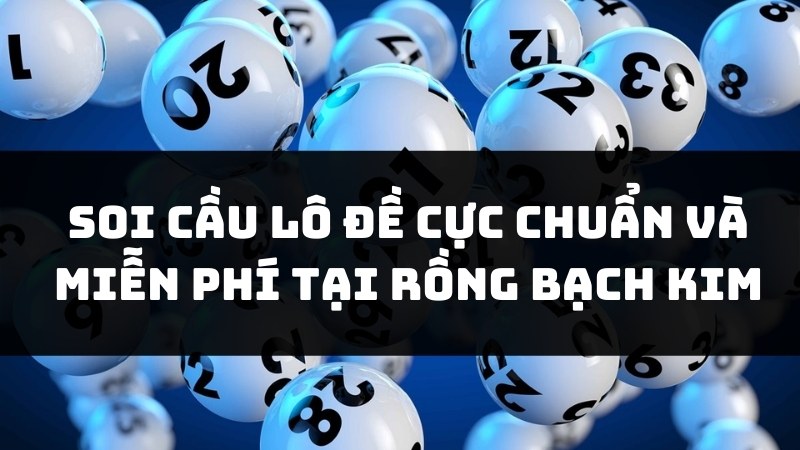 Soi cầu lô cực chuẩn tại rồng bạch kim